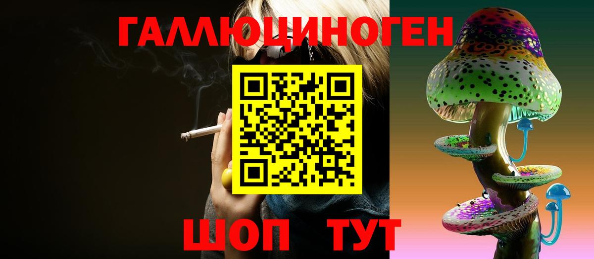 Углич  Псилоцибиновые грибы мицелий  Вход с VPN 